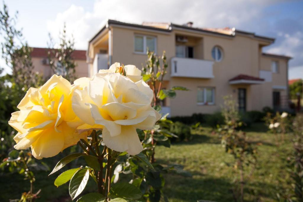 Apartments Emma Biograd Na Moru Exterior photo